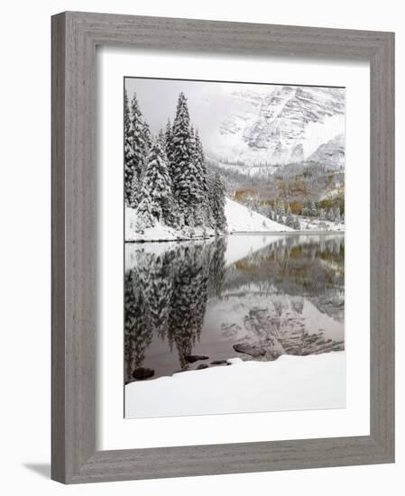 Snow Covered Aspens, Maroon Bells, Colorado, USA-Terry Eggers-Framed Photographic Print