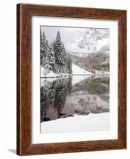 Snow Covered Aspens, Maroon Bells, Colorado, USA-Terry Eggers-Framed Photographic Print