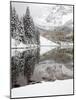 Snow Covered Aspens, Maroon Bells, Colorado, USA-Terry Eggers-Mounted Photographic Print