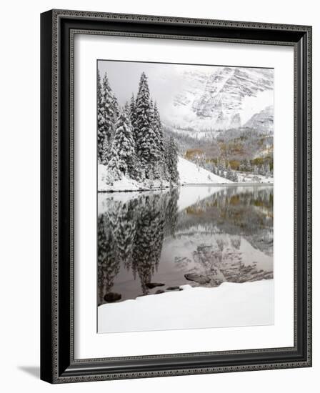 Snow Covered Aspens, Maroon Bells, Colorado, USA-Terry Eggers-Framed Photographic Print