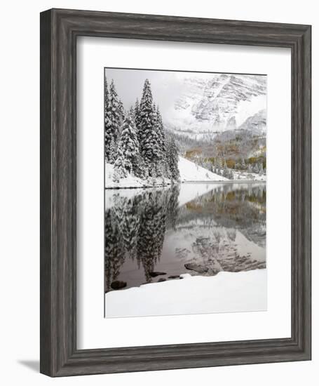 Snow Covered Aspens, Maroon Bells, Colorado, USA-Terry Eggers-Framed Photographic Print