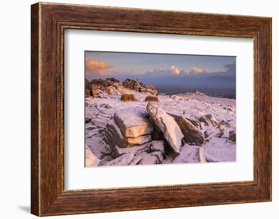 Snow covered Belstone tor at dawn, Dartmoor, Devon, England. Winter (January) 2016.-Adam Burton-Framed Photographic Print