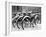 Snow-Covered Bicycles-Fred Musto-Framed Photographic Print