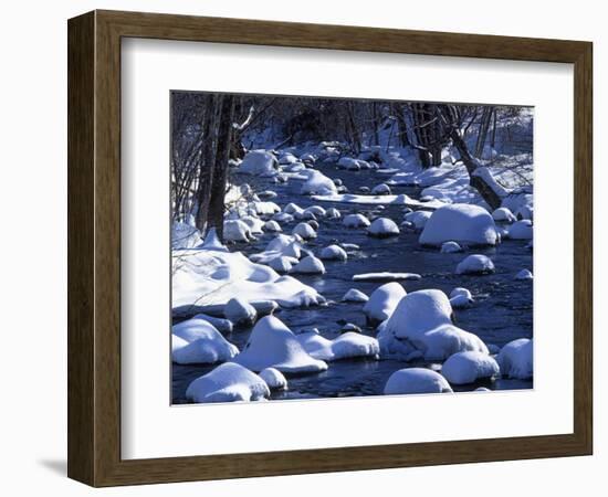 Snow covered boulders along the Hughes River, Shenandoah National Park, Virginia, USA-Charles Gurche-Framed Photographic Print