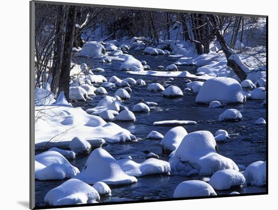 Snow covered boulders along the Hughes River, Shenandoah National Park, Virginia, USA-Charles Gurche-Mounted Photographic Print