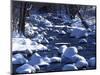 Snow covered boulders along the Hughes River, Shenandoah National Park, Virginia, USA-Charles Gurche-Mounted Photographic Print