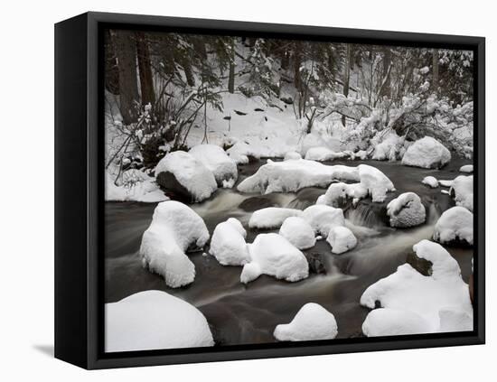 Snow-Covered Boulders and Flowing Creek, Glacier Creek, Rocky Mountain National Park, Colorado, USA-James Hager-Framed Premier Image Canvas