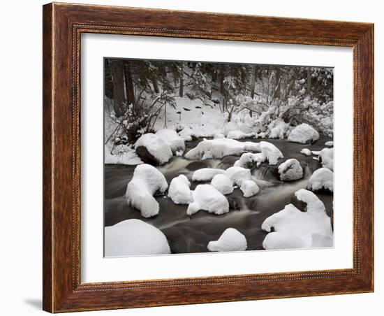 Snow-Covered Boulders and Flowing Creek, Glacier Creek, Rocky Mountain National Park, Colorado, USA-James Hager-Framed Photographic Print