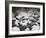 Snow-Covered Boulders and Flowing Creek, Glacier Creek, Rocky Mountain National Park, Colorado, USA-James Hager-Framed Photographic Print