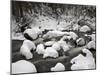 Snow-Covered Boulders and Flowing Creek, Glacier Creek, Rocky Mountain National Park, Colorado, USA-James Hager-Mounted Photographic Print