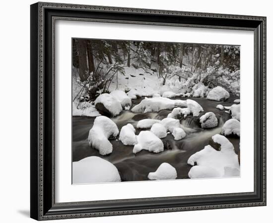 Snow-Covered Boulders and Flowing Creek, Glacier Creek, Rocky Mountain National Park, Colorado, USA-James Hager-Framed Photographic Print