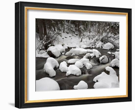 Snow-Covered Boulders and Flowing Creek, Glacier Creek, Rocky Mountain National Park, Colorado, USA-James Hager-Framed Photographic Print