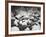 Snow-Covered Boulders and Flowing Creek, Glacier Creek, Rocky Mountain National Park, Colorado, USA-James Hager-Framed Photographic Print