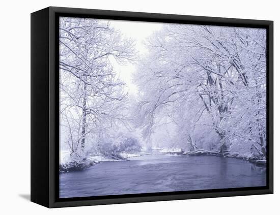 Snow Covered Branches Overhanging Beargrass Creek, Louisville, Kentucky, USA-Adam Jones-Framed Premier Image Canvas