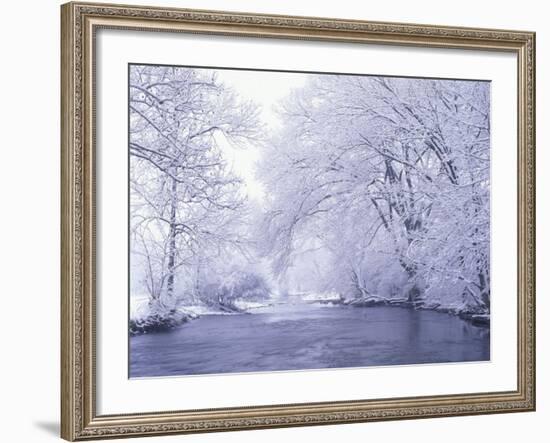 Snow Covered Branches Overhanging Beargrass Creek, Louisville, Kentucky, USA-Adam Jones-Framed Photographic Print