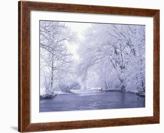 Snow Covered Branches Overhanging Beargrass Creek, Louisville, Kentucky, USA-Adam Jones-Framed Photographic Print