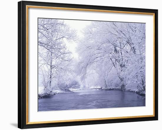 Snow Covered Branches Overhanging Beargrass Creek, Louisville, Kentucky, USA-Adam Jones-Framed Photographic Print