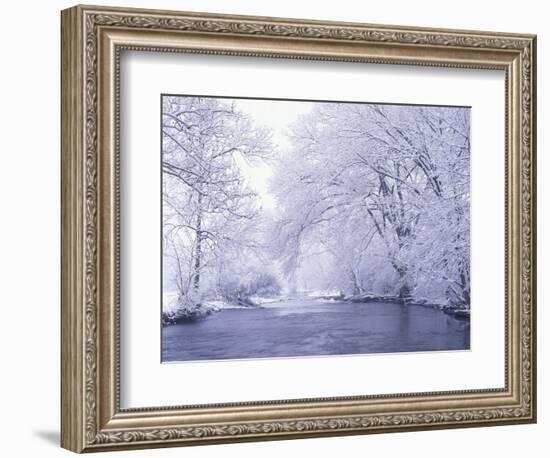 Snow Covered Branches Overhanging Beargrass Creek, Louisville, Kentucky, USA-Adam Jones-Framed Photographic Print