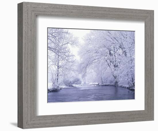 Snow Covered Branches Overhanging Beargrass Creek, Louisville, Kentucky, USA-Adam Jones-Framed Photographic Print