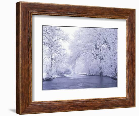 Snow Covered Branches Overhanging Beargrass Creek, Louisville, Kentucky, USA-Adam Jones-Framed Photographic Print