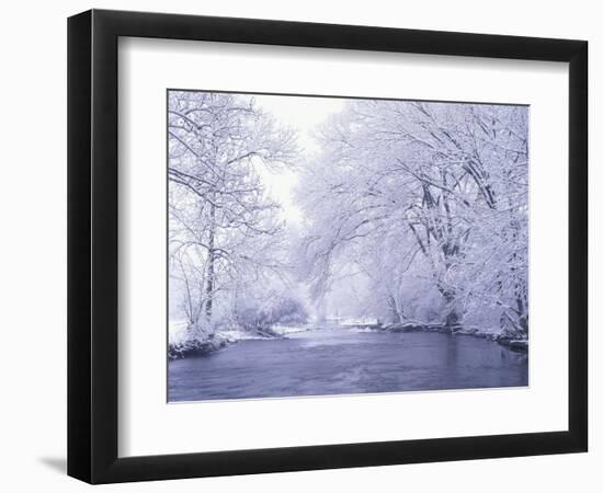 Snow Covered Branches Overhanging Beargrass Creek, Louisville, Kentucky, USA-Adam Jones-Framed Photographic Print