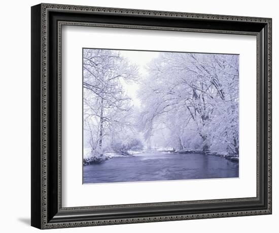 Snow Covered Branches Overhanging Beargrass Creek, Louisville, Kentucky, USA-Adam Jones-Framed Photographic Print