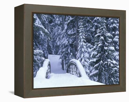 Snow-Covered Bridge and Fir Trees, Washington, USA-Merrill Images-Framed Premier Image Canvas