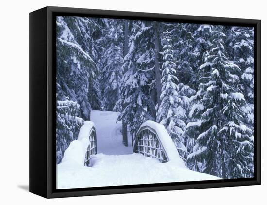 Snow-Covered Bridge and Fir Trees, Washington, USA-Merrill Images-Framed Premier Image Canvas