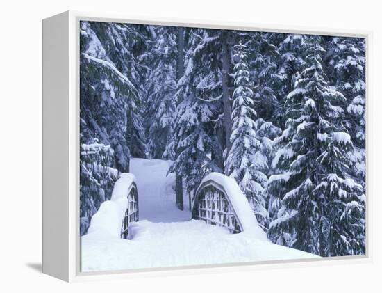 Snow-Covered Bridge and Fir Trees, Washington, USA-Merrill Images-Framed Premier Image Canvas