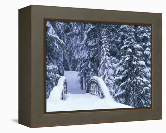 Snow-Covered Bridge and Fir Trees, Washington, USA-Merrill Images-Framed Premier Image Canvas