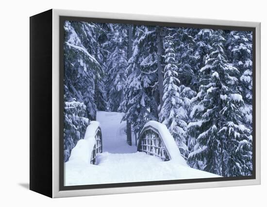 Snow-Covered Bridge and Fir Trees, Washington, USA-Merrill Images-Framed Premier Image Canvas