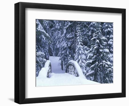 Snow-Covered Bridge and Fir Trees, Washington, USA-Merrill Images-Framed Photographic Print