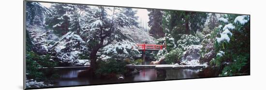 Snow Covered Bridge in the Kabota Garden, Seattle, Washington, USA-Terry Eggers-Mounted Photographic Print