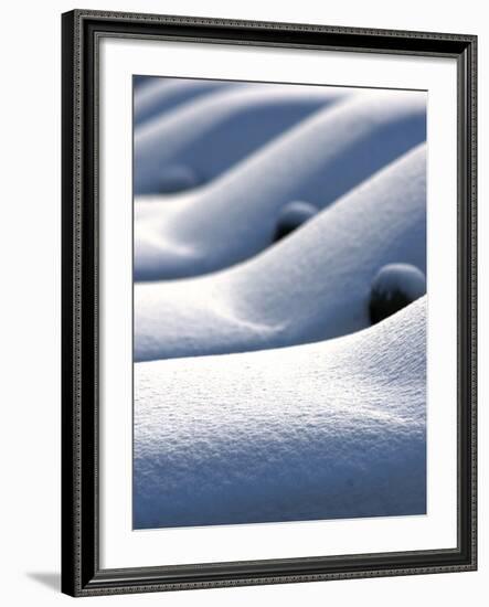 Snow Covered Cars-null-Framed Photographic Print