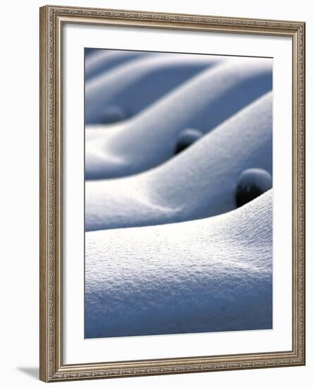 Snow Covered Cars-null-Framed Photographic Print