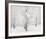 Snow Covered Cottonwood Trees-Alan Majchrowicz-Framed Photo