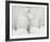 Snow Covered Cottonwood Trees-Alan Majchrowicz-Framed Photo