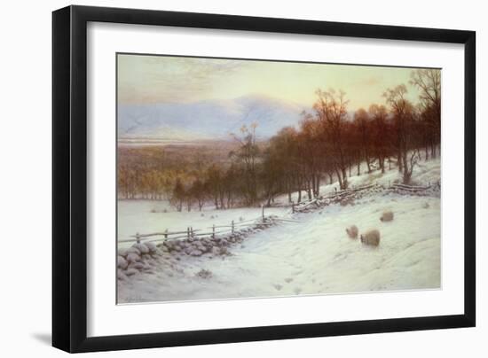 Snow Covered Fields with Sheep-Joseph Farquharson-Framed Giclee Print