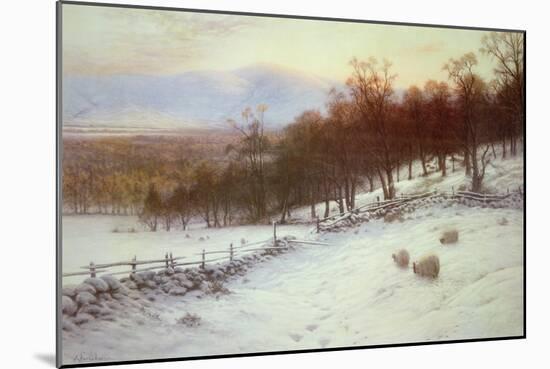 Snow Covered Fields with Sheep-Joseph Farquharson-Mounted Giclee Print