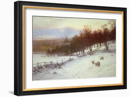 Snow Covered Fields with Sheep-Joseph Farquharson-Framed Giclee Print