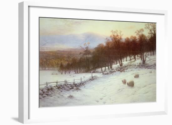 Snow Covered Fields with Sheep-Joseph Farquharson-Framed Giclee Print