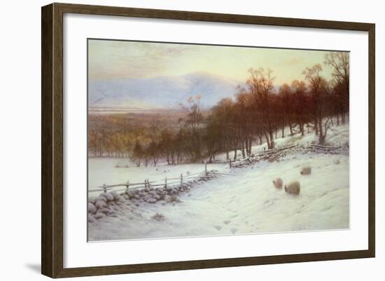 Snow Covered Fields with Sheep-Joseph Farquharson-Framed Giclee Print