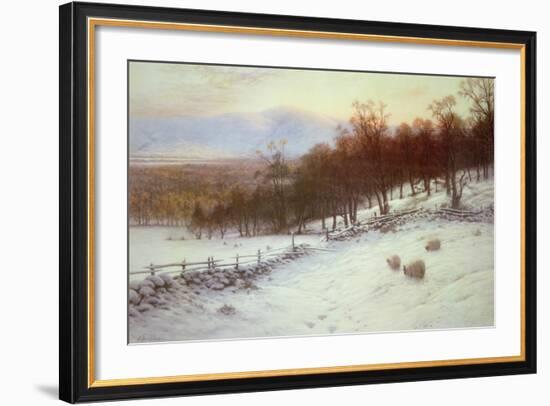 Snow Covered Fields with Sheep-Joseph Farquharson-Framed Giclee Print