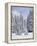 Snow-Covered Fir Trees, Mount Rainier National Park, Washington, Usa-Jamie & Judy Wild-Framed Premier Image Canvas