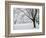 Snow-Covered Maple Trees in Odiorne Point State Park in Rye, New Hampshire, USA-Jerry & Marcy Monkman-Framed Photographic Print