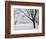 Snow-Covered Maple Trees in Odiorne Point State Park in Rye, New Hampshire, USA-Jerry & Marcy Monkman-Framed Photographic Print