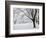Snow-Covered Maple Trees in Odiorne Point State Park in Rye, New Hampshire, USA-Jerry & Marcy Monkman-Framed Photographic Print