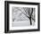 Snow-Covered Maple Trees in Odiorne Point State Park in Rye, New Hampshire, USA-Jerry & Marcy Monkman-Framed Photographic Print