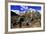 Snow Covered Mountains on the Road to Milford Sound, South Island, New Zealand-Paul Dymond-Framed Photographic Print