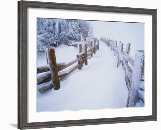 Snow-covered Path in Crater Lake National Park-Steve Terrill-Framed Photographic Print